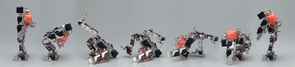 ロボットキット モーション